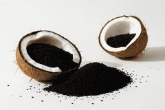 Premium Indonesia Coconut Shell Activated Carbon | High Iodine Value | Water & Air Purification Grade | Export Quality - Image 1